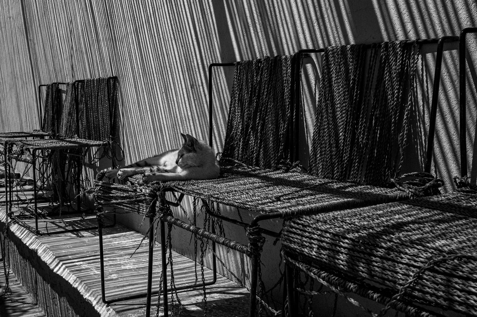Marrakech